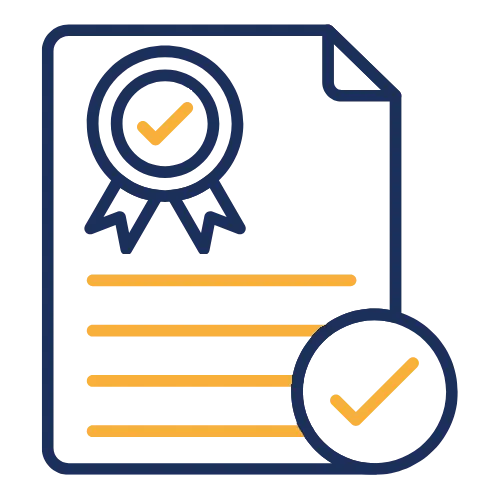 Customs Solutions Experts